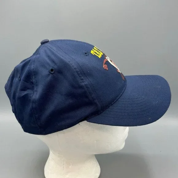 Vintage 1998 Taz Rulz Looney Tunes Snapback Adjustable Blue Hat Tasmanian Devil